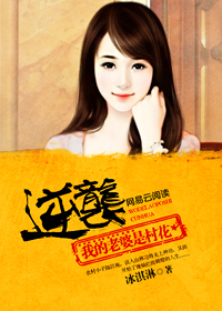 四房播播播
