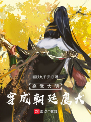 美脚连裤袜在线中文字幕