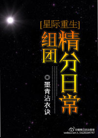 言教授要撞坏了小说免费