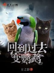 videosgratis欧美另类