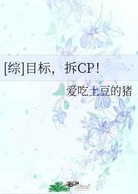 东野圭吾小说
