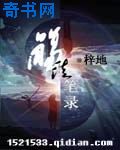 免费100视频在线播放器