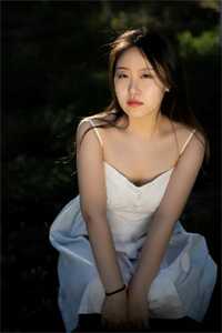 如风小说