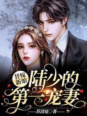 共妻叶紫