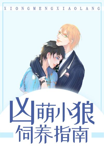 慕枫的小说