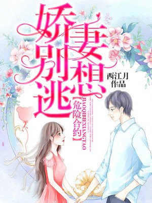 八妻子2024最新