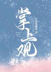 电梯另类性体验