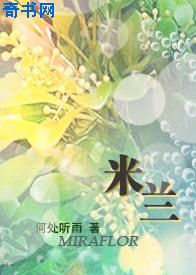 乱来大杂会大目录全集txt