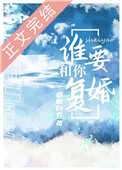 人与狗交视频
