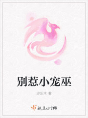 鲁能直播