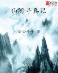 铠甲勇士第一季