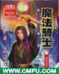 乱绝家廷小说