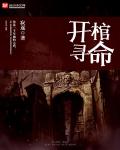 县委书记小说