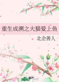 勇敢的少年啊快去创造奇迹