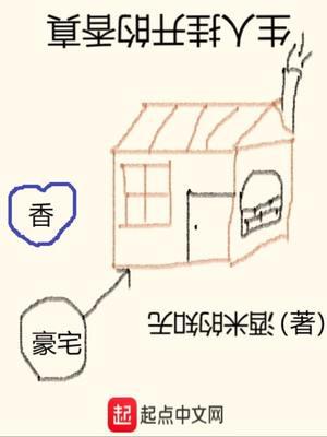 陈律徐岁宁小说