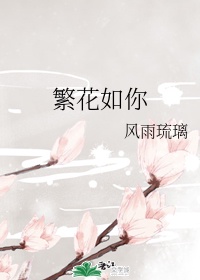 重生追美记下载