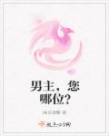 龙腾小说阅读网 合集