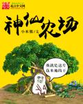 主子by风弄