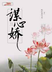 玩偶姐森林篇