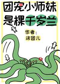 戴路视频