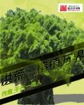 91在线视频在线观看