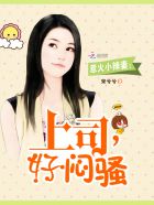 西游记国粹版