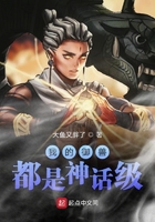 逍遥兵王洛天txt下载