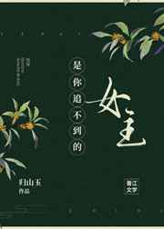 金瓶风月国语