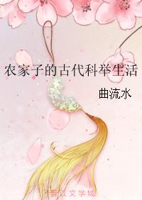 剑网三石敢当