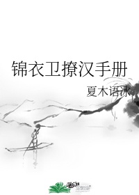 迪哥闯世界