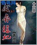 拍拍赚