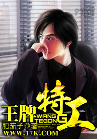 完美先生和差不多小姐小说