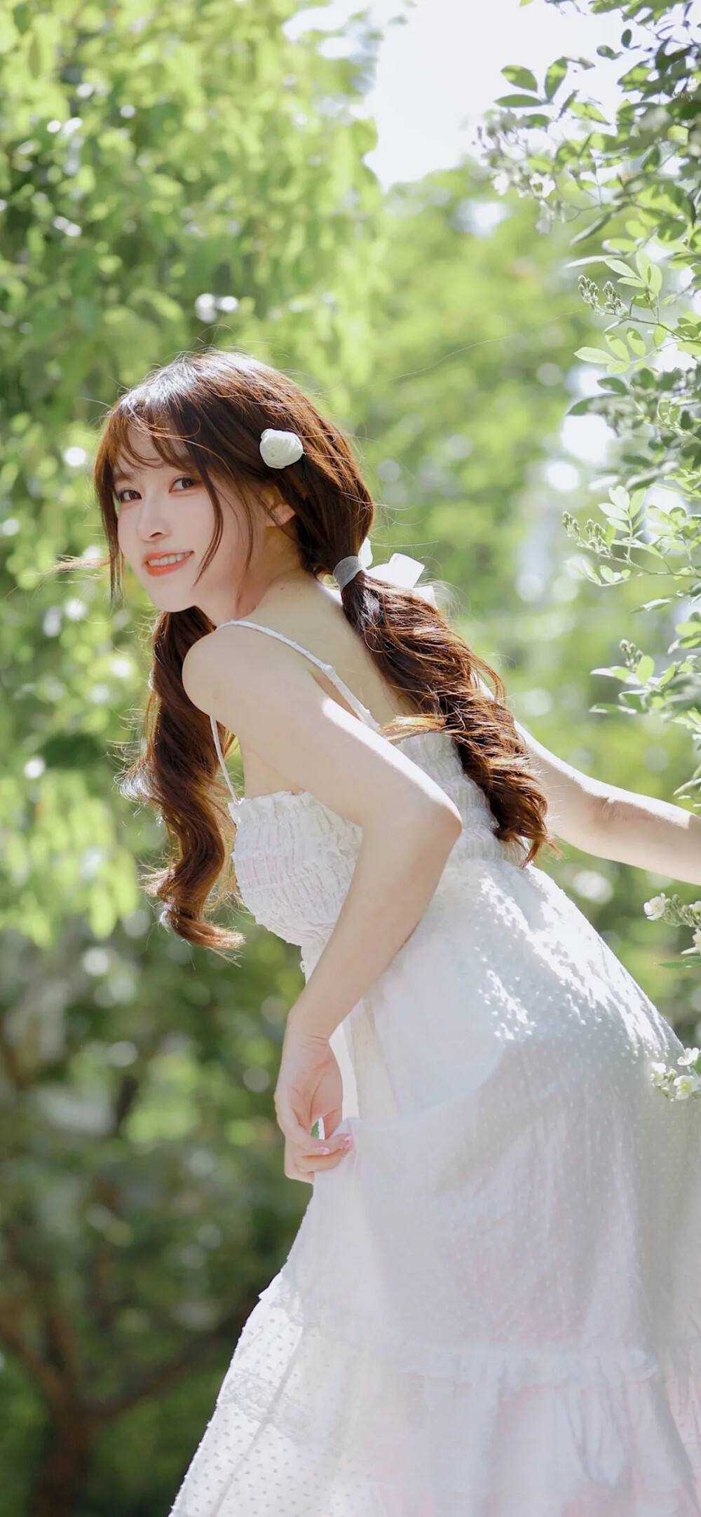 露水红颜小说