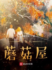 血精灵强盗面罩