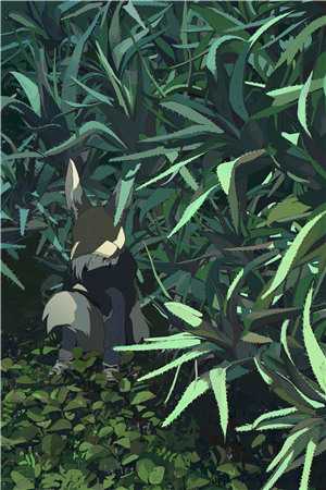 苍井空全集