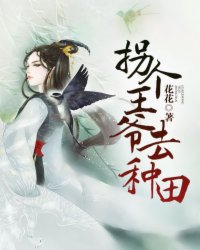 3344在线观看视频免费