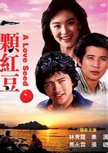桌布