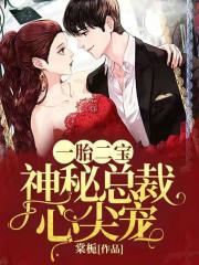 铁柱王淑兰在线阅读