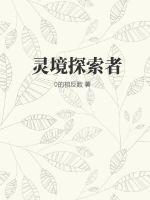 铠甲勇士2