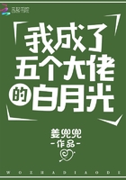 摸逼逼综合网