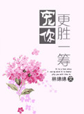天美传媒MV免费观看软件特色