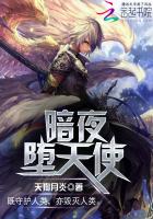 陈安周维