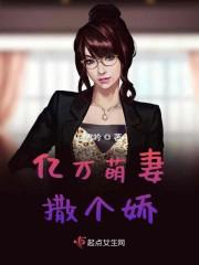 乡村如此多娇小说