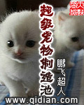 重生之官途辉煌