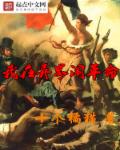 旅行者与魔法师