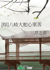戴路视频