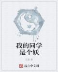 秘密教学41话子豪的愿望是