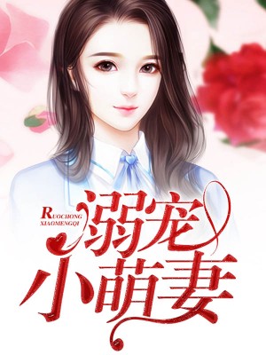 丰年经的继拇中文3使用方法