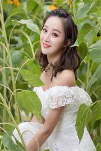 乱情小说全本免费阅读