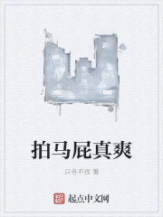 鹧鸪哨网站